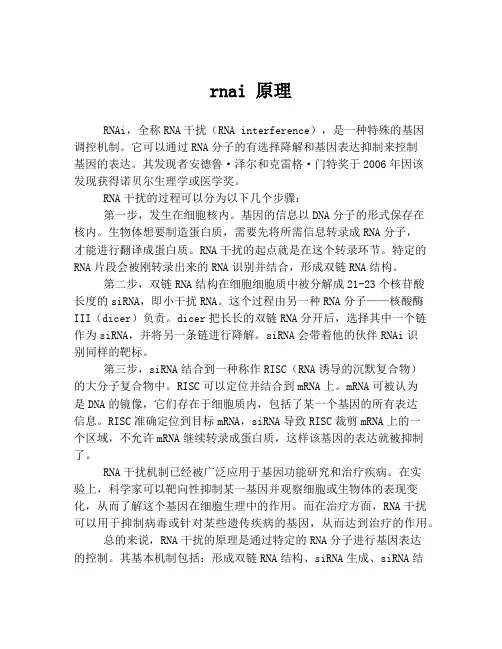 rnai 原理