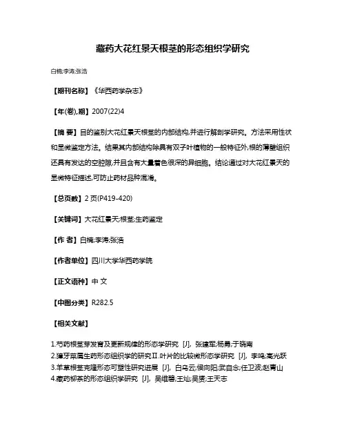 藏药大花红景天根茎的形态组织学研究