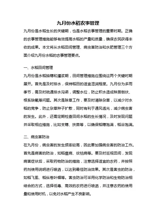 九月份水稻农事管理