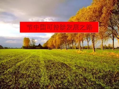 中国可持续发展之路ppt3