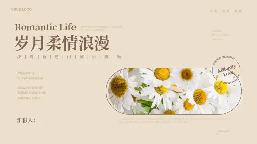 雏菊小清新通用PPT模板