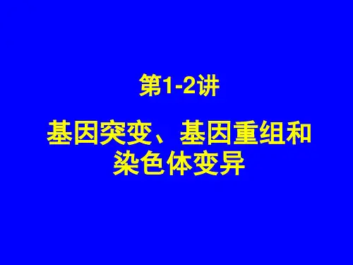 第18讲  基因突变、基因重组和染色体变异
