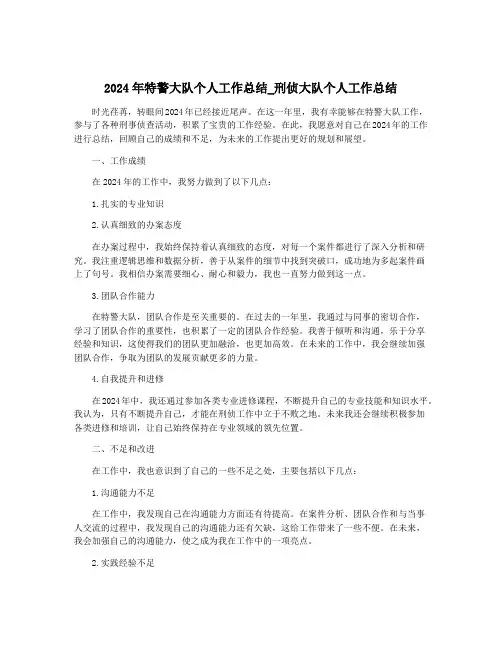 2024年特警大队个人工作总结_刑侦大队个人工作总结