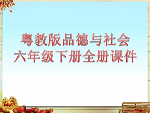 粤教版品德与社会六年级下册全册课件