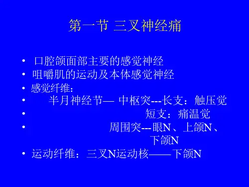 三叉神经痛课件