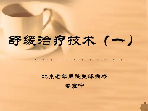 舒缓治疗技术一课件