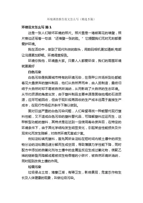 环境调查报告范文怎么写（精选5篇）
