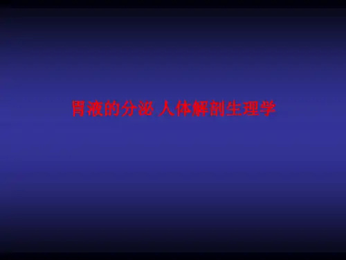 [课件]胃液的分泌 人体解剖生理学PPT