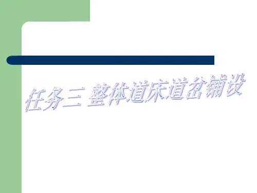 整体道床道岔PPT课件