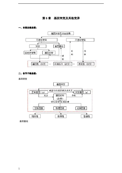 生物必修2,第五章、第六章、第七章知识点框架图