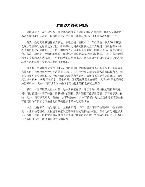 岩屑砂岩的镜下报告