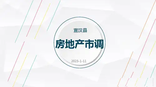 四川达州宣汉县市调报告