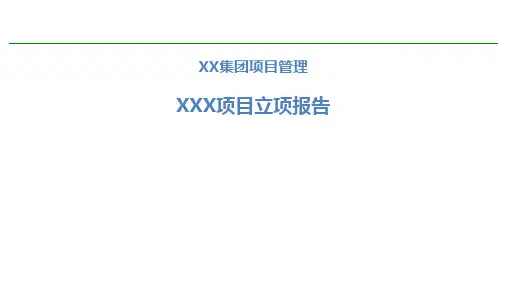 项目管理报告模板