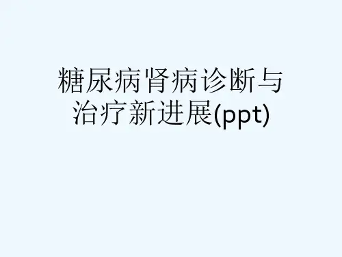 糖尿病肾病诊断与治疗新进展(ppt)