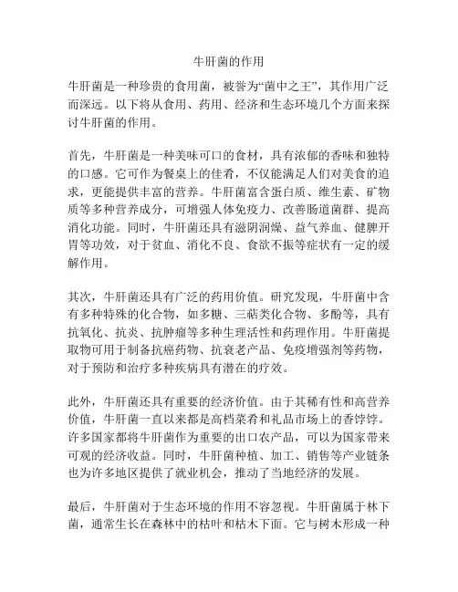 牛肝菌的作用
