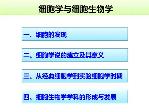 2023年高中生物竞赛课件：细胞学与细胞生物学