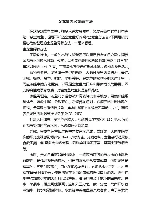 金龙鱼怎么饲养方法