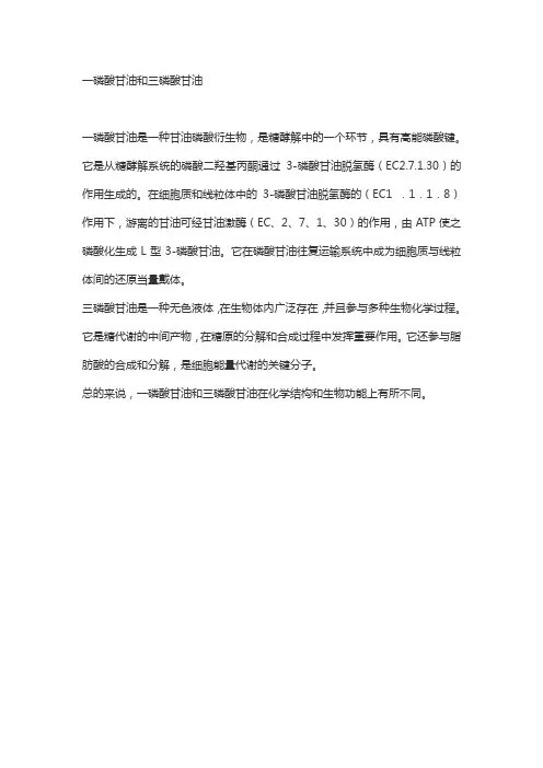 一磷酸甘油和三磷酸甘油