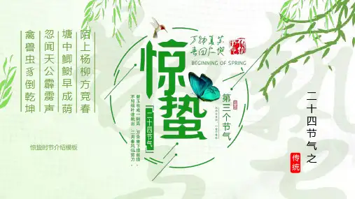 节日庆典PPT模板合集(精选4套)