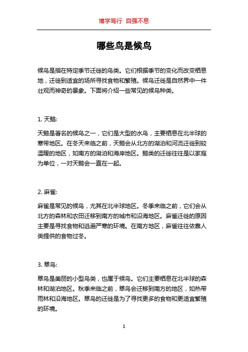 哪些鸟是候鸟