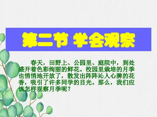 (新)冀教版生物七上《学会观察》公开课(课件) 4