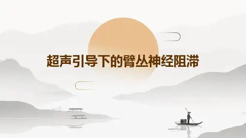 超声引导下的臂丛神经阻滞