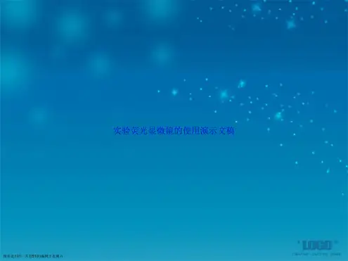 实验荧光显微镜的使用演示文稿
