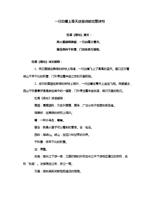 一行白鹭上青天这首诗的完整诗句