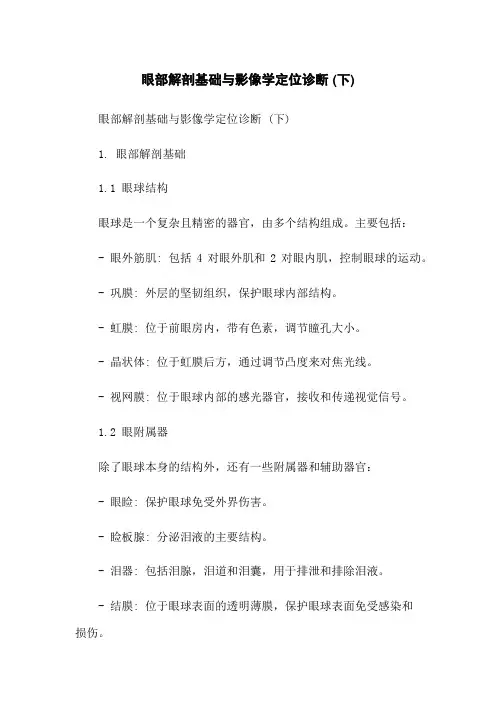 眼部解剖基础与影像学定位诊断 (下)