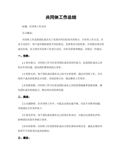 共同体工作总结