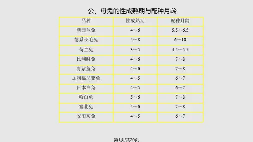 家兔的繁殖PPT课件