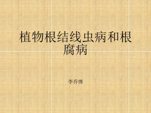 植物线虫病和根腐病lqb