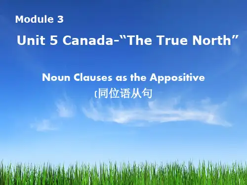 B3unit5 同位语从句  (共37张ppt)