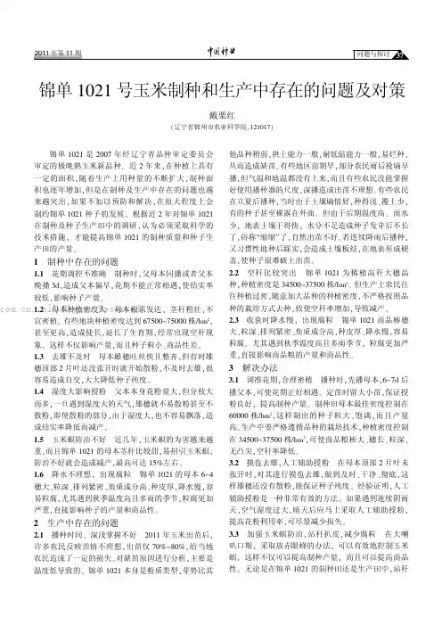 锦单1021号玉米制种和生产中存在的问题及对策