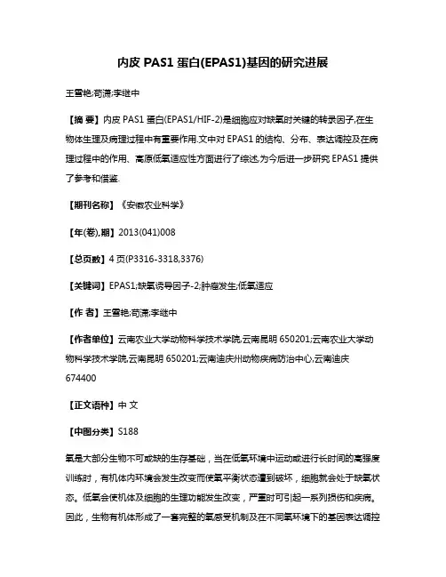 内皮PAS1蛋白(EPAS1)基因的研究进展