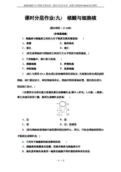 2019-2020年中图版生物必修一课时分层作业9 核酸与细胞核+Word版含解析