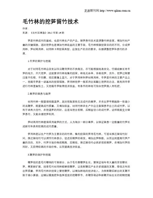 毛竹林的挖笋留竹技术