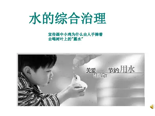 水的综合治理PPT课件