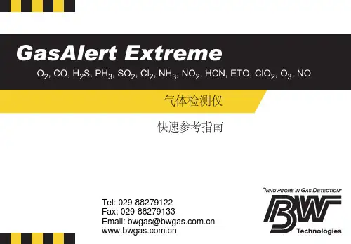 BW监测仪说明书