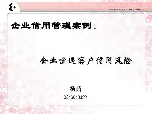 企业信用管理案例