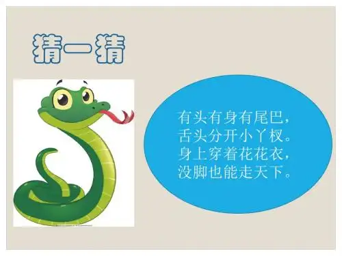 6可爱的玩具蛇