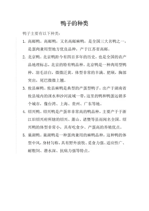 鸭子的种类