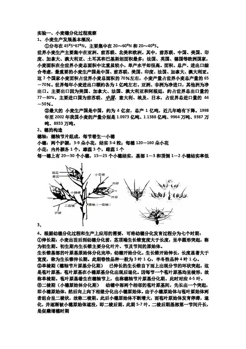 作物栽培学实验整理