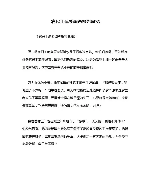 农民工返乡调查报告总结