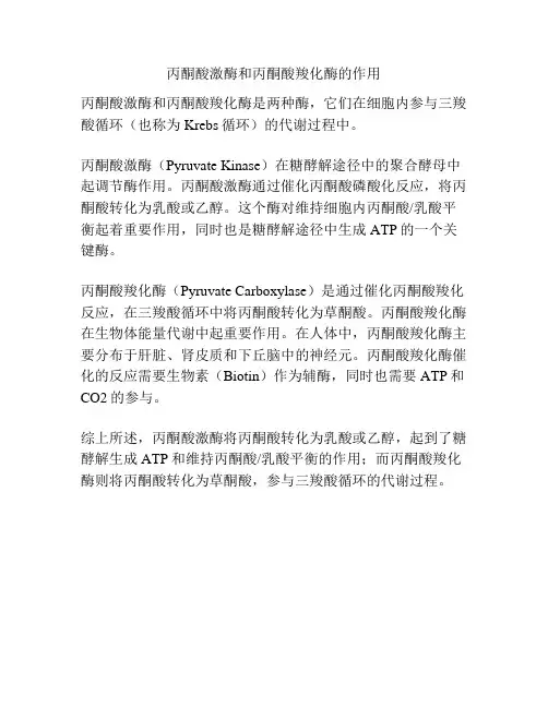 丙酮酸激酶和丙酮酸羧化酶的作用