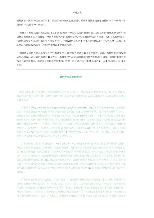 锦鲤文化