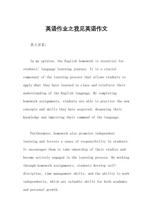 英语作业之我见英语作文