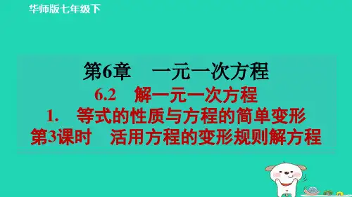 2024春七年级数学下册第六章一元一次方程6.2解一元一次方程1等式的性质与方程的简单变形第3课时