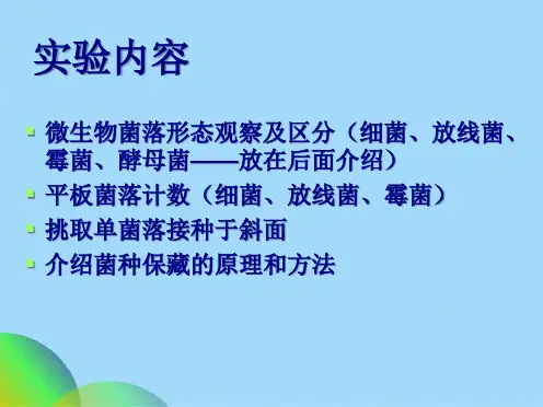 实验四 微生物的菌落形态观察平板菌落计数及菌种保藏(共69张PPT)