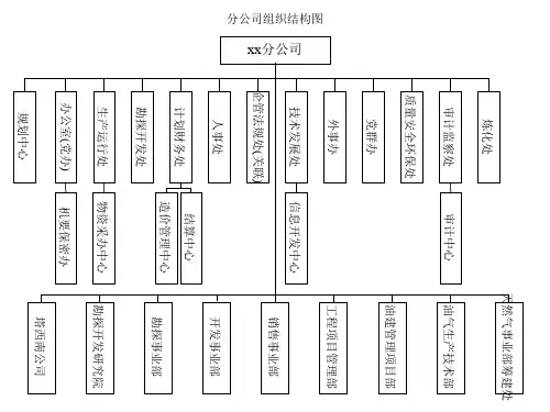 公司组织机构图